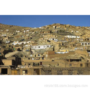 You best freight forwarder for shipping and forwarding service fromChina to Afghanistan